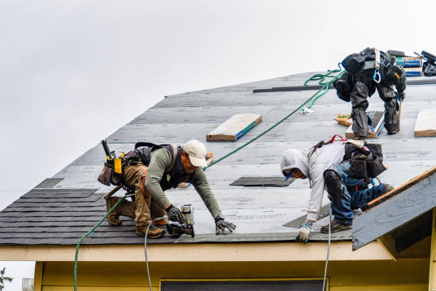 Professional Gutter Installation technician working in Genoa, NE